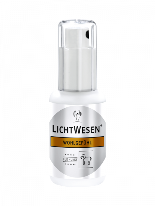 Lichtwesen- Honden-Welzijn voor honden