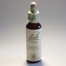 05 Cerato- Loodkruid 20ml