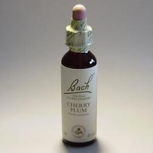 06 Cherry-plum- Kerspruim 20ml
