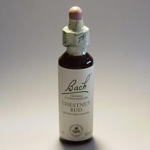 07 Chestnud Bud- Knop van de Paardekastanje 20ml