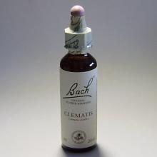 09 Clematis- Bosrank 20ml