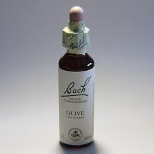22 Olive- Olijf 20ml