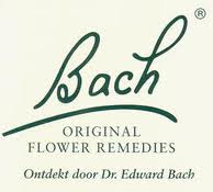 Bachbloesems