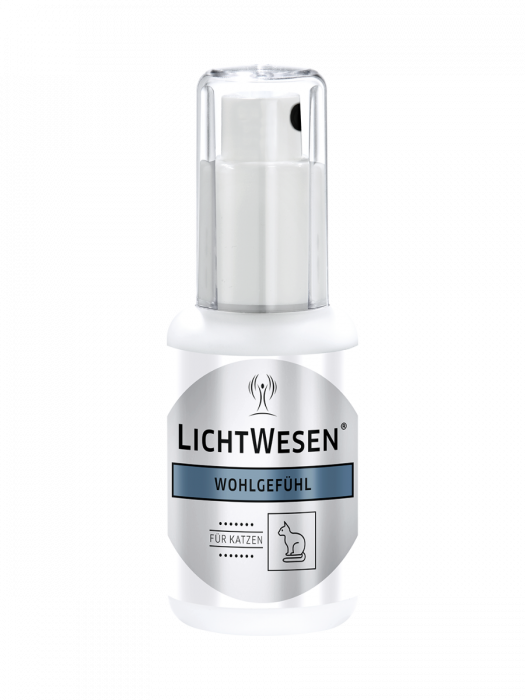 Lichtwesen-Katten- Welzijn voor katten