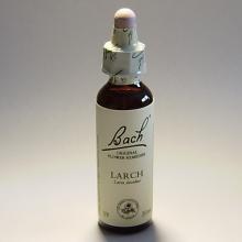 19 Larch- Lariks 20ml