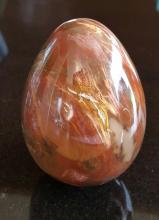 Versteend hout ( 6,5 x 10cm)