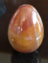 Versteend hout (6 x 9cm)