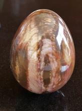 Versteend hout ( 5,5 x 8cm)