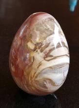 Versteend hout ( 6 x 9cm)