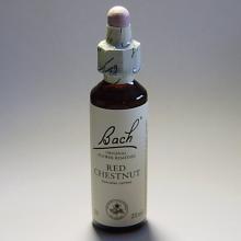 25 Red Chestnud- Rode Kastanje 20ml